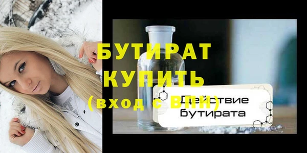 индика Дмитриев