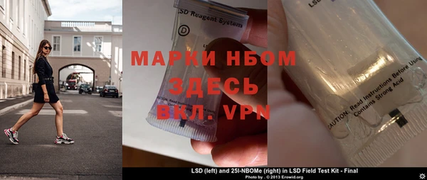 индика Дмитриев