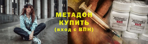 индика Дмитриев