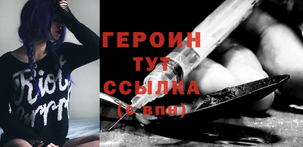 индика Дмитриев