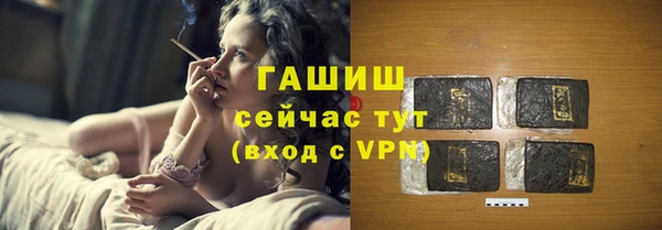 индика Дмитриев