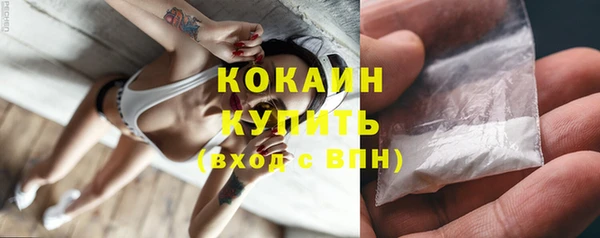 индика Дмитриев