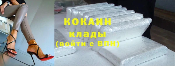 индика Дмитриев