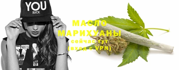 тгк Дмитров