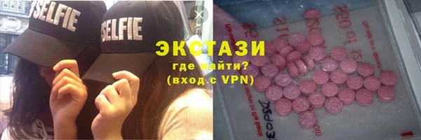 индика Дмитриев