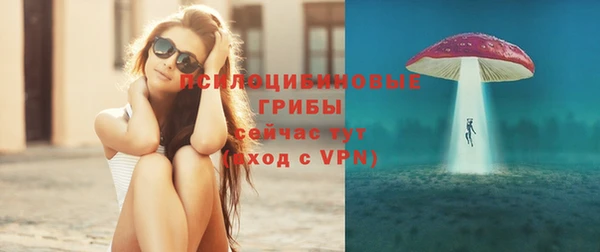 тгк Дмитров
