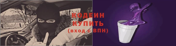 индика Дмитриев