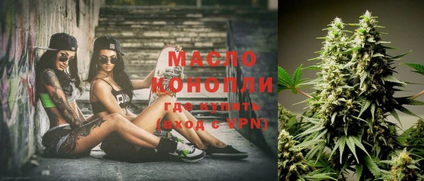 индика Дмитриев