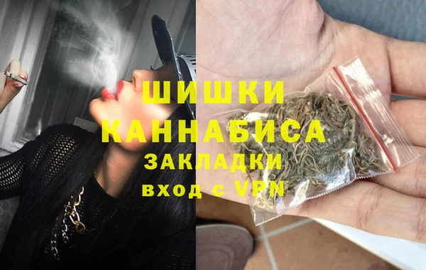 тгк Дмитров