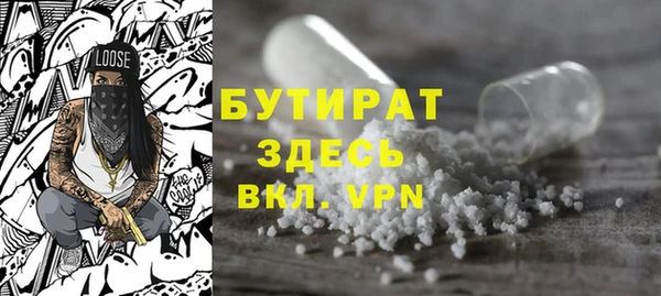 индика Дмитриев
