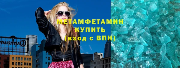 индика Дмитриев