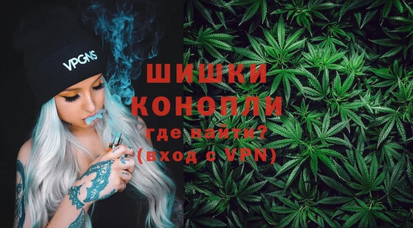 тгк Дмитров
