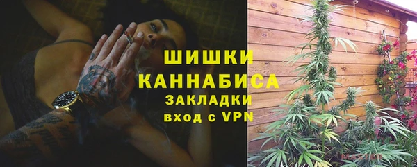 индика Дмитриев