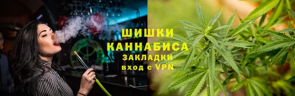 тгк Дмитров