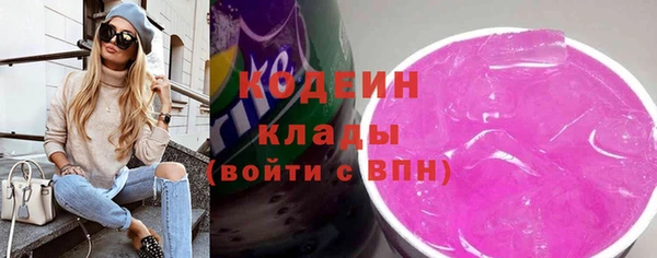 индика Дмитриев