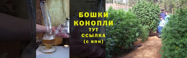 apvp Дмитровск