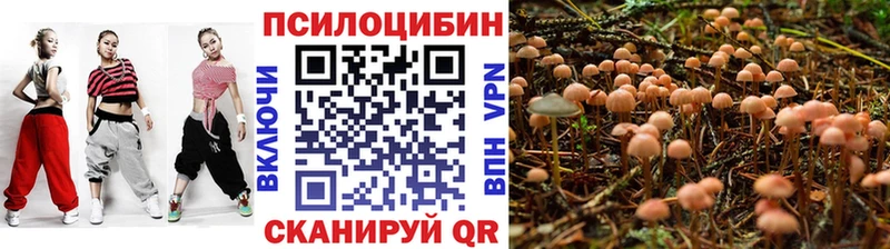 Купить закладки  Оренбург  Псилоцибиновые грибы ЛСД 